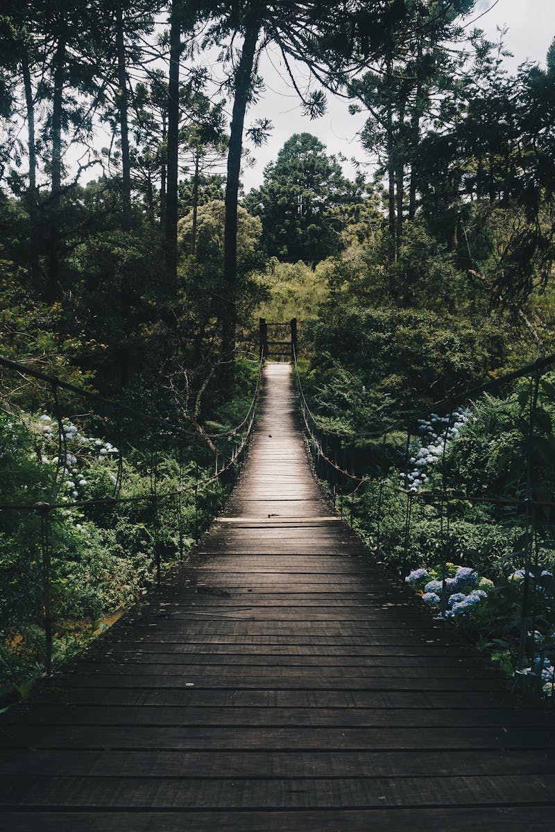 Person walking along a coastal path in Australia